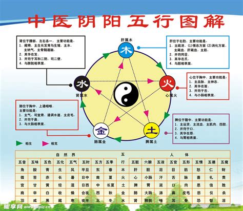 五行圖表|五行